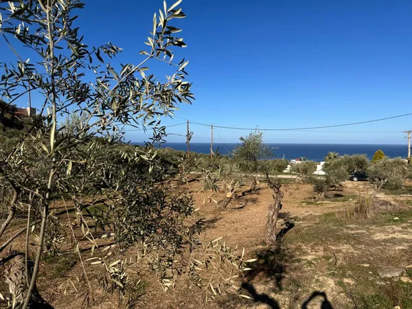 2,300 m² Land for Sale in Maleme, Platanias — photo 4
