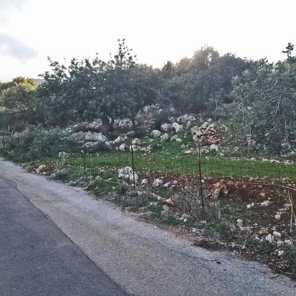 Sea-View 5,400 m² Land for Sale in Gerani Rethymno, Rethymnon — photo 3