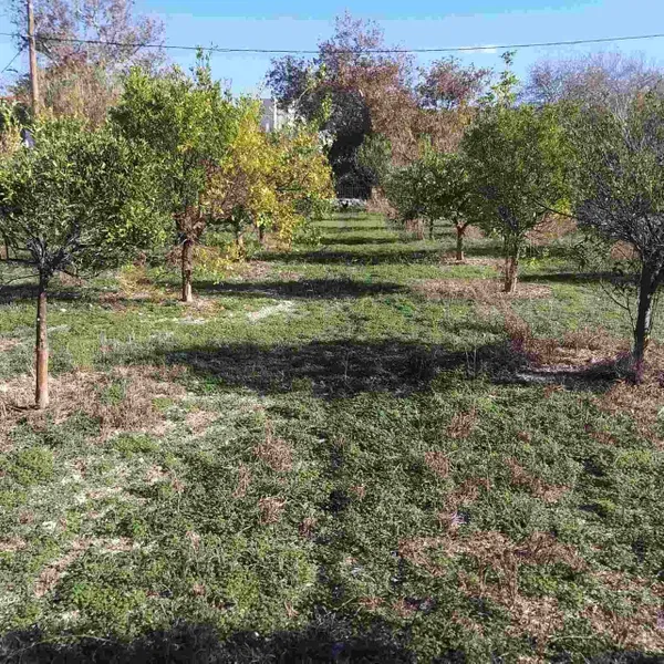 Seafront 2,500 m² Plot for Sale in Adele, Rethymnon — photo 4