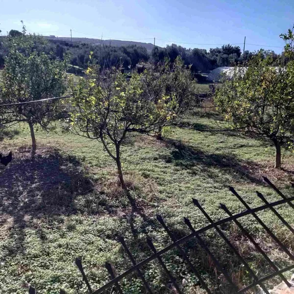 Seafront 2,500 m² Plot for Sale in Adele, Rethymnon — photo 5