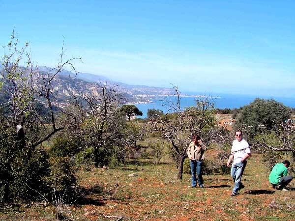 Sea-View 17,400 m² Land for Sale in Korinthia, Peloponnese — photo 2