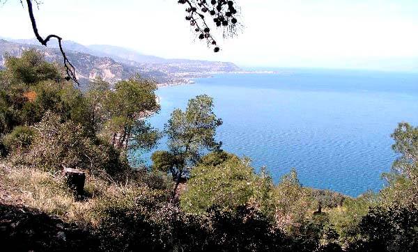 Sea-View 17,400 m² Land for Sale in Korinthia, Peloponnese — photo 4