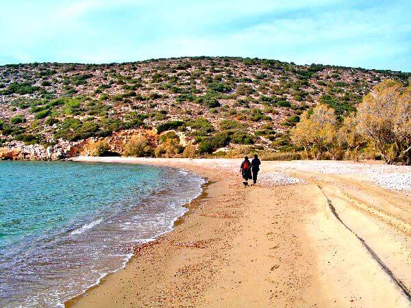Sea-View 220,000 m² Plot of Land for Sale in Chios, Eastern Aegean
