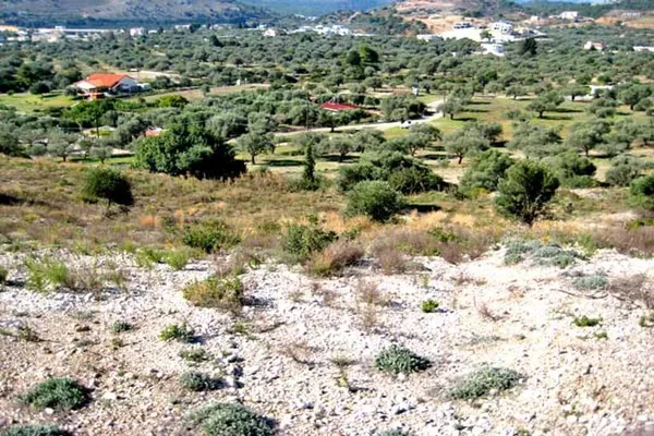 11,520 m² Plot of Land for Sale in Rhodes, Dodecanese Islands — photo 3