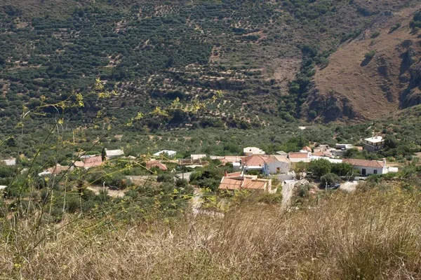 Seafront 3,000 m² Plot for Sale in Topolia, Kissamos — photo 3