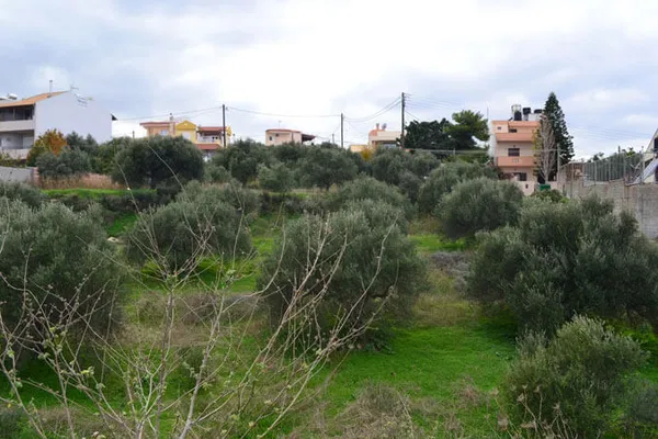 Seafront 3,027 m² Plot for Sale in Heraklion — photo 3