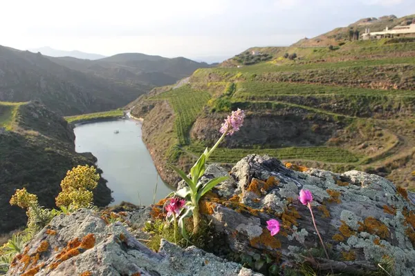Seafront 300,000 m² Land for Sale in Asterousia, Archanes-Asterousia — photo 4