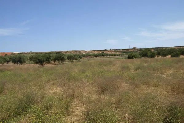 50,000 m² Plot for Sale in Kato Gouves, Hersonissos — photo 4