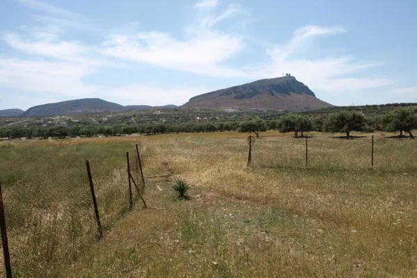 50,000 m² Plot for Sale in Kato Gouves, Hersonissos — photo 5