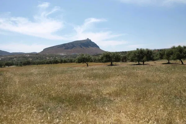 50,000 m² Plot for Sale in Kato Gouves, Hersonissos — photo 2
