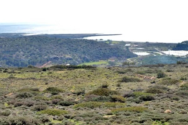 1,400,000 m² Plot of Land for Sale in Makris Gialos, Lasithi — photo 5