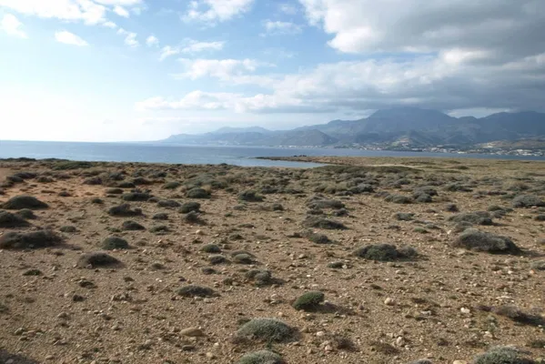 91,000 m² Plot of Land for Sale in Makris Gialos, Lasithi — photo 5