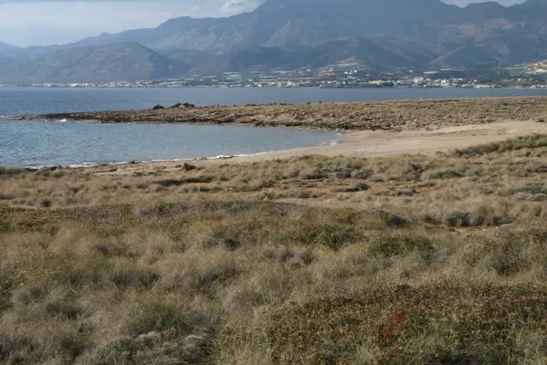 91,000 m² Plot of Land for Sale in Makris Gialos, Lasithi — photo 3