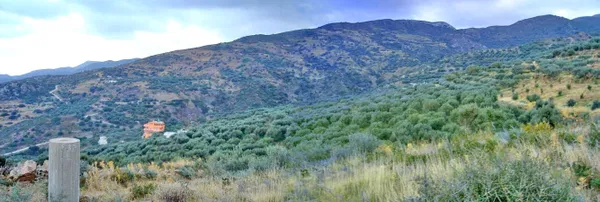 Seafront 18,000 m² Land for Sale in Agia Fotia, Ierapetra — photo 5