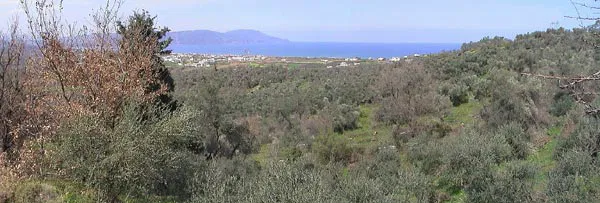 Seafront 4,696 m² Plot for Sale in Dramia, Apokoronas — photo 3