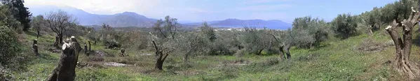 Seafront 4,696 m² Plot for Sale in Dramia, Apokoronas — photo 2