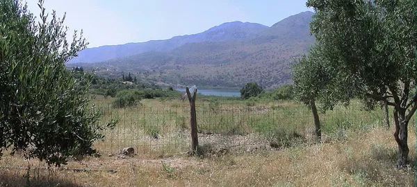 Seafront 6,566 m² Plot for Sale in Kournas, Apokoronas — photo 5