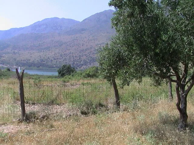 Seafront 6,566 m² Plot for Sale in Kournas, Apokoronas