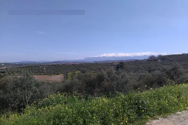 Seafront 4,375 m² Plot of Land for Sale in Polemarchi, Platanias — photo 4