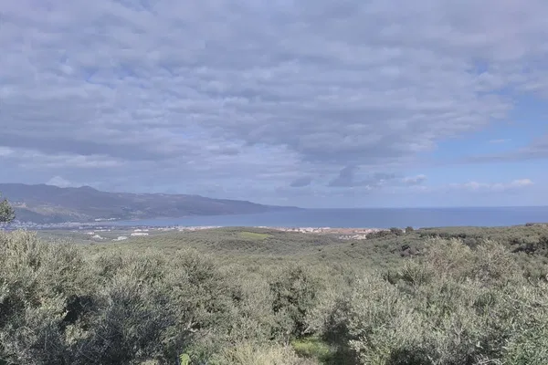 Seafront 4,375 m² Plot of Land for Sale in Polemarchi, Platanias