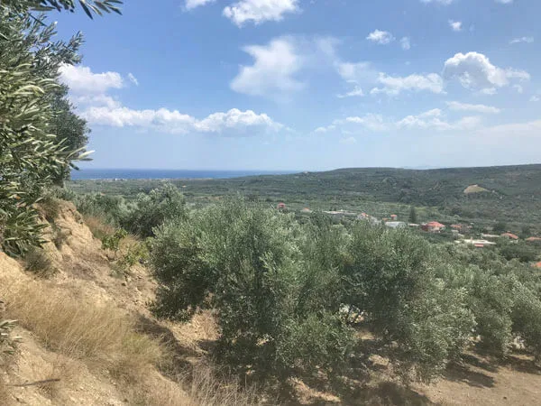 Seafront 2,200 m² Land for Sale in Spilia, Platanias
