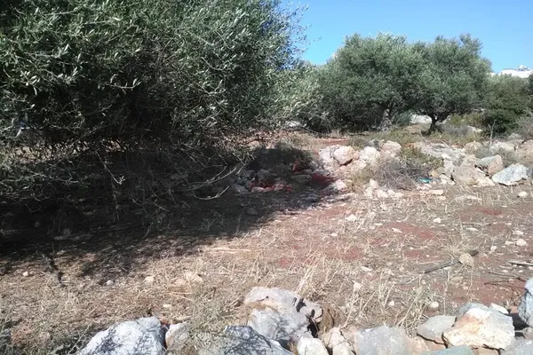 Seafront 1,044 m² Plot of Land for Sale in Kounoupidiana, Akrotiri