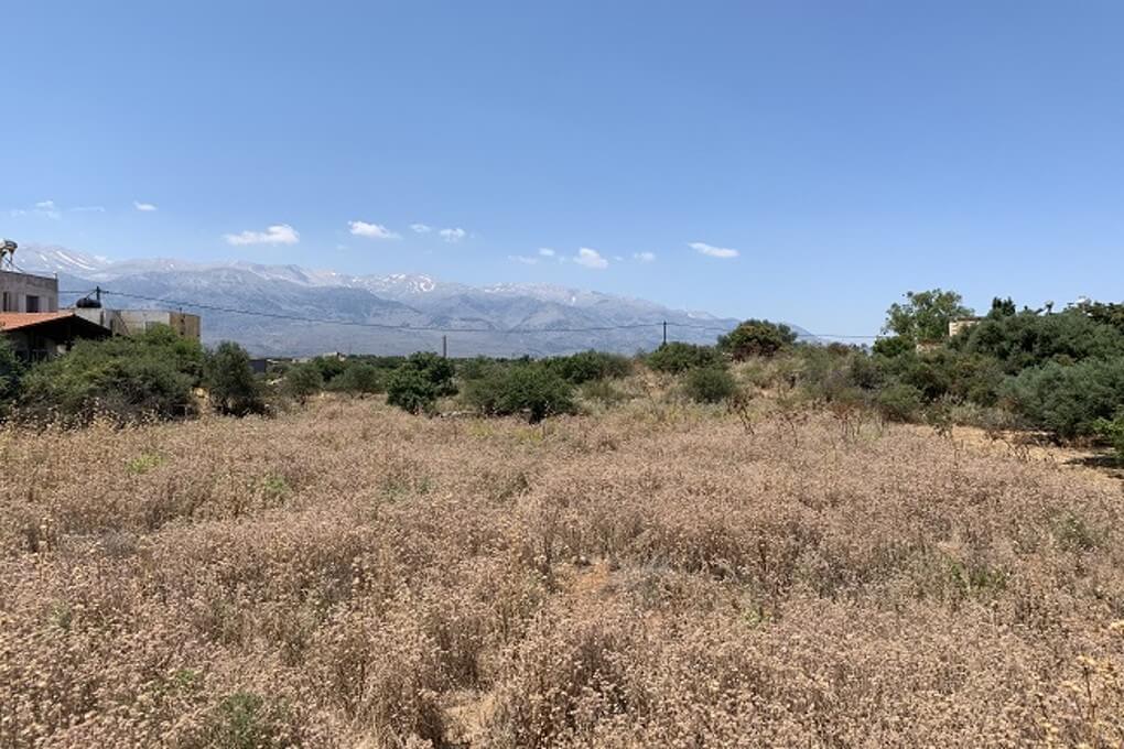 Seafront 2,000 m² Plot for Sale in Litsarda, Apokoronas