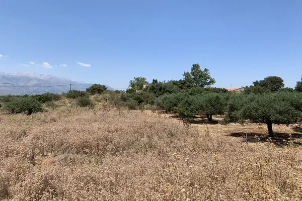 Seafront 2,000 m² Plot for Sale in Litsarda, Apokoronas — photo 3
