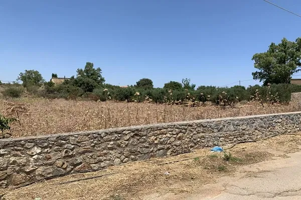 Seafront 2,000 m² Plot for Sale in Litsarda, Apokoronas — photo 5