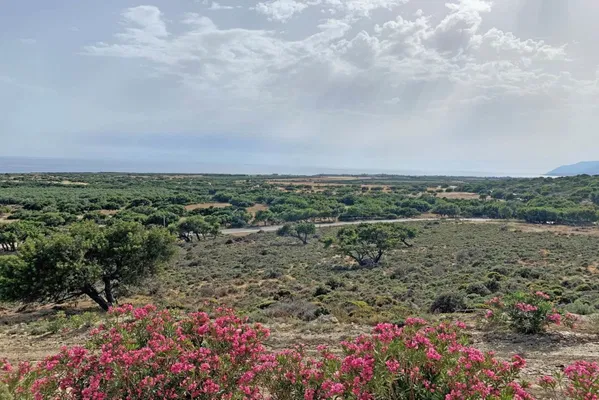 Seafront 10,319 m² Land for Sale in Fragkokastelo, Sfakia — photo 3