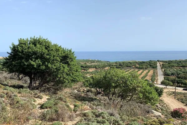 Seafront 10,319 m² Land for Sale in Fragkokastelo, Sfakia — photo 2