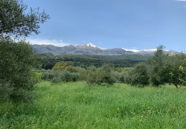 Seafront 8,013 m² Plot of Land for Sale in Vafes, Apokoronas — photo 2