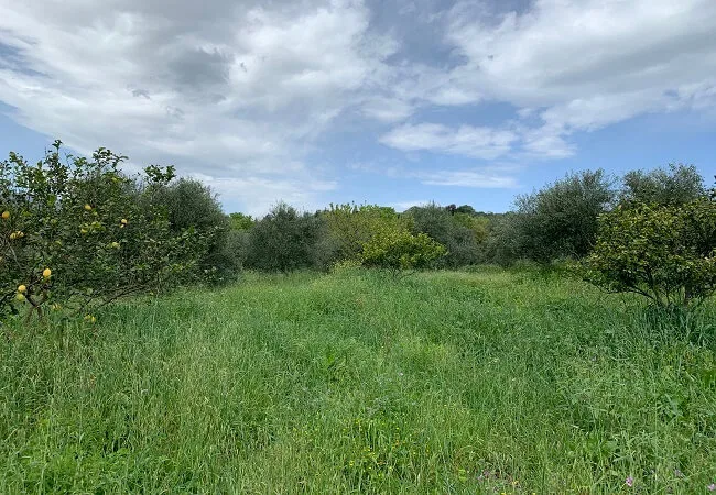 Seafront 8,013 m² Plot of Land for Sale in Vafes, Apokoronas
