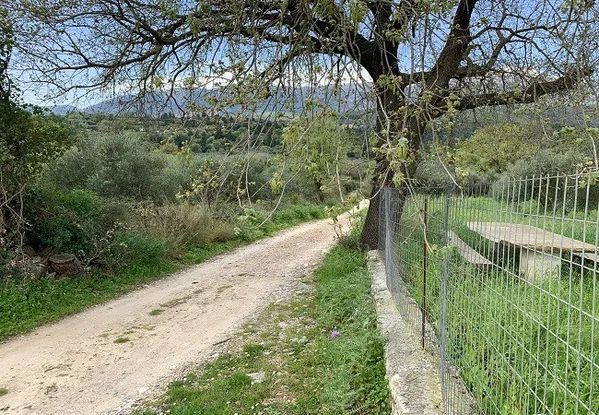 Seafront 8,013 m² Plot of Land for Sale in Vafes, Apokoronas — photo 3