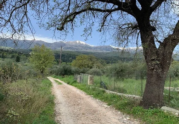 Seafront 8,013 m² Plot of Land for Sale in Vafes, Apokoronas — photo 4