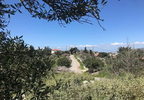 Seafront 5,102 m² Land for Sale in Kefalas, Apokoronas — photo 4