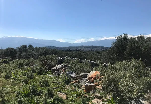 Seafront 5,102 m² Land for Sale in Kefalas, Apokoronas — photo 3
