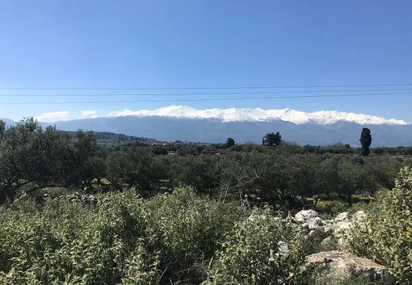 Seafront 5,102 m² Land for Sale in Kefalas, Apokoronas — photo 2