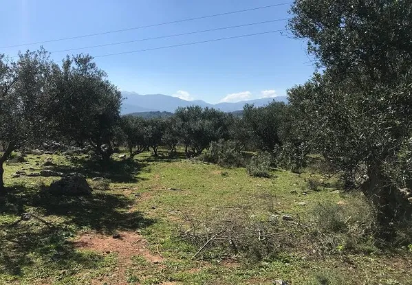 Seafront 5,102 m² Land for Sale in Kefalas, Apokoronas
