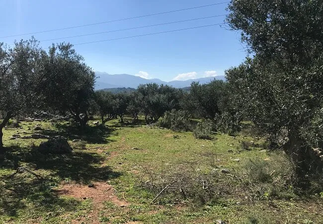 Seafront 5,102 m² Land for Sale in Kefalas, Apokoronas
