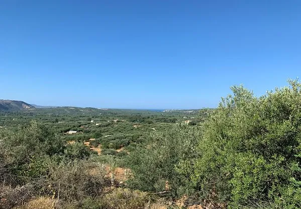 Seafront 2,726 m² Land for Sale in Macheroi, Apokoronas — photo 5