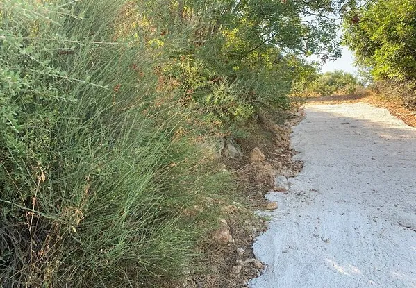 Seafront 2,726 m² Land for Sale in Macheroi, Apokoronas — photo 4
