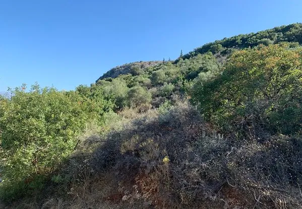 Seafront 2,726 m² Land for Sale in Macheroi, Apokoronas — photo 3