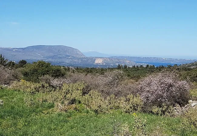 Seafront 2,000 m² Land for Sale in Kefalas, Apokoronas