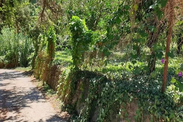 Seafront 8,000 m² Plot for Sale in Platanias, Chania