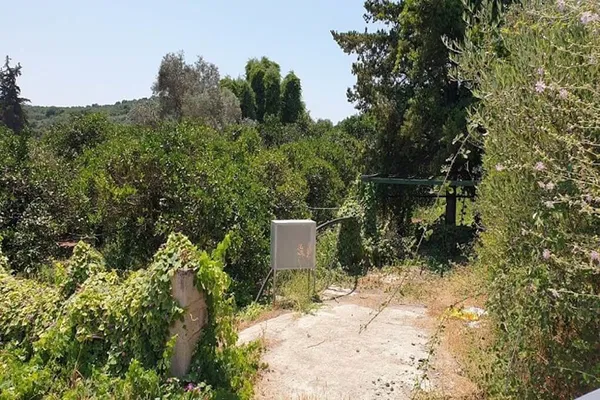 Seafront 8,000 m² Plot for Sale in Platanias, Chania — photo 3