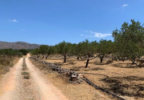 Seafront 9,500 m² Plot for Sale in Chorafakia, Akrotiri — photo 4