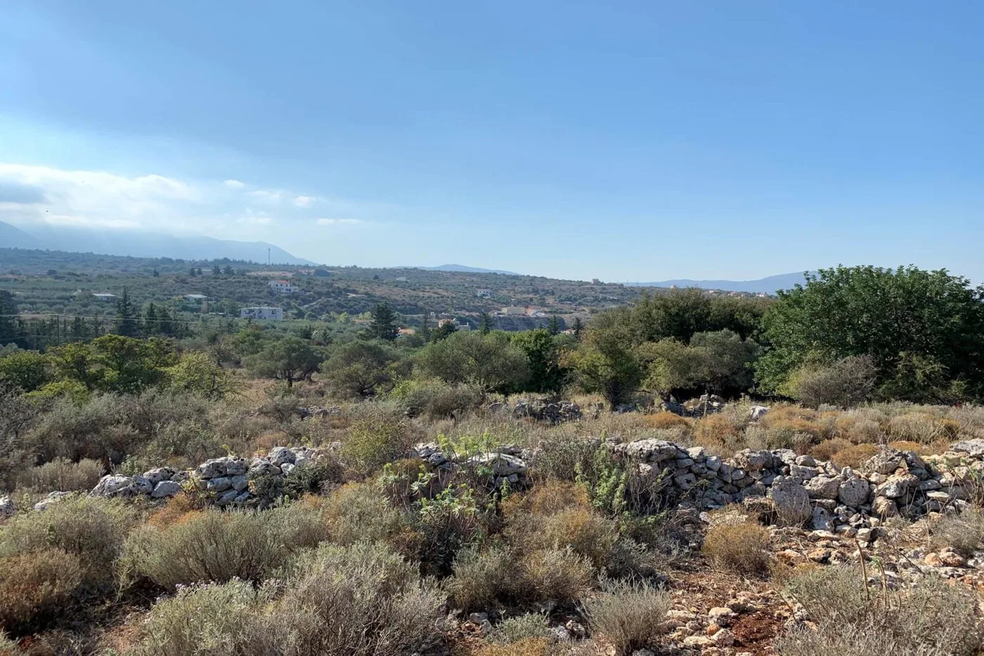 Seafront 25,000 m² Land for Sale in Vamos, Apokoronas
