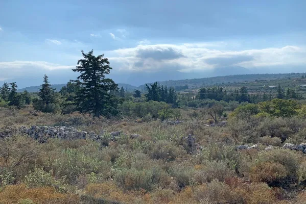 Seafront 25,000 m² Land for Sale in Vamos, Apokoronas — photo 3