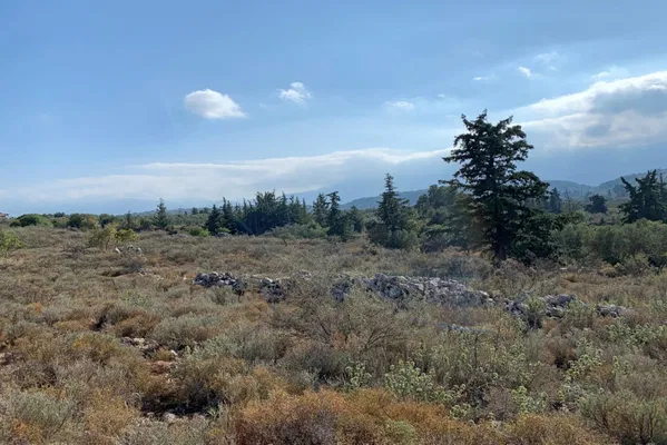 Seafront 25,000 m² Land for Sale in Vamos, Apokoronas — photo 4